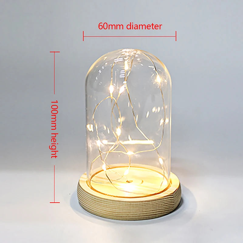 Glass Dome Wooden Base LED Light Decorative Cloche Vase Display