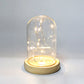 Glass Dome Wooden Base LED Light Decorative Cloche Vase Display