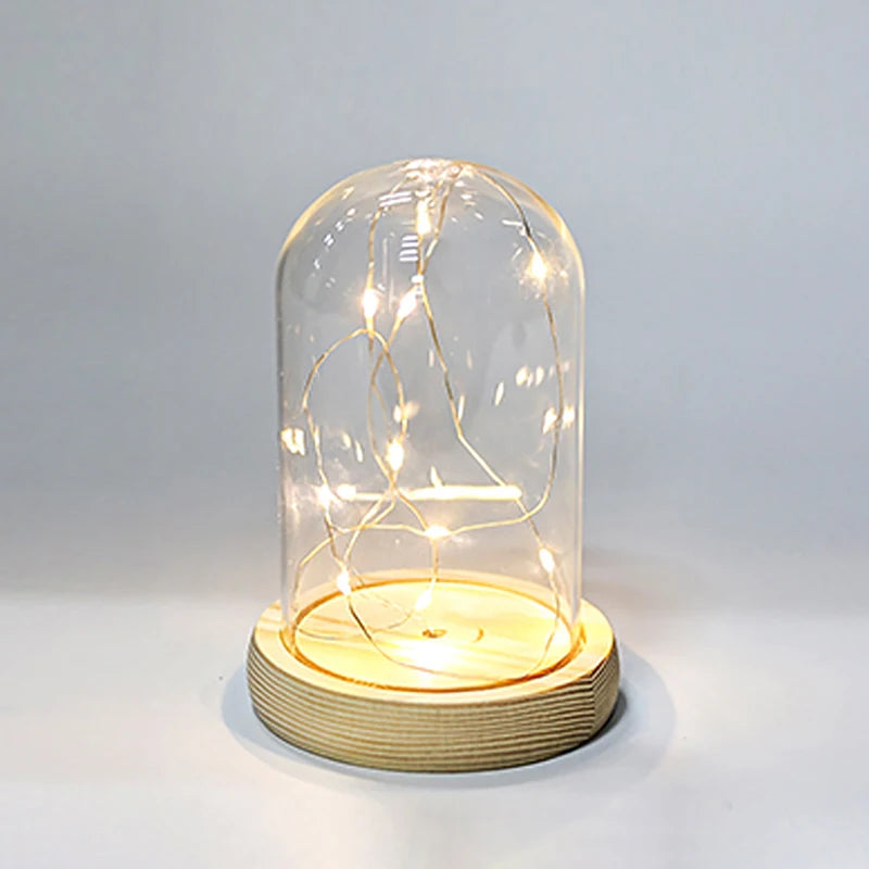 Glass Dome Wooden Base LED Light Decorative Cloche Vase Display