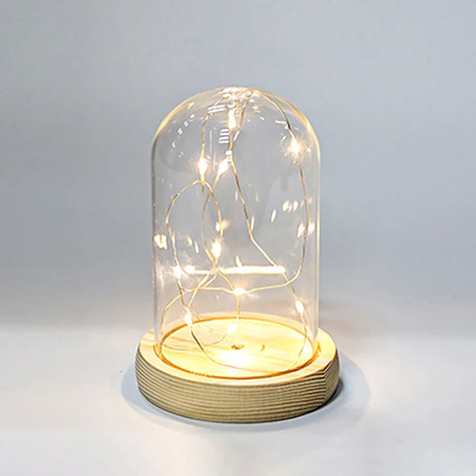 Glass Dome Wooden Base LED Light Decorative Cloche Vase Display