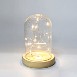 Glass Dome Wooden Base LED Light Decorative Cloche Vase Display