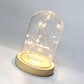 Glass Dome Wooden Base LED Light Decorative Cloche Vase Display