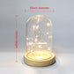 Glass Dome Wooden Base LED Light Decorative Cloche Vase Display