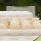 12/18 Grid Transparent Plastic Egg Tray Stackable Storage Box
