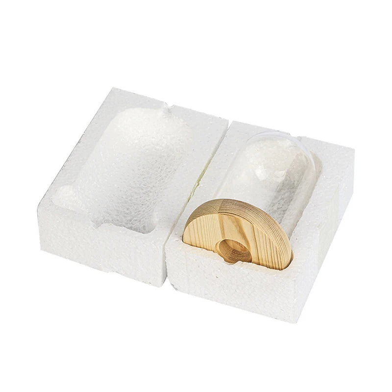 Glass Dome Wooden Base LED Light Decorative Cloche Vase Display